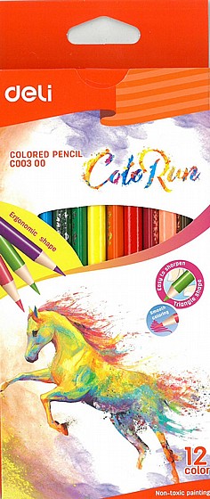 �� 12 ���� �����