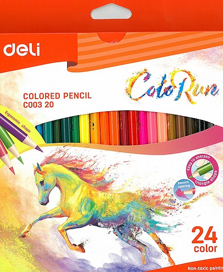 �� 24 ���� �����
